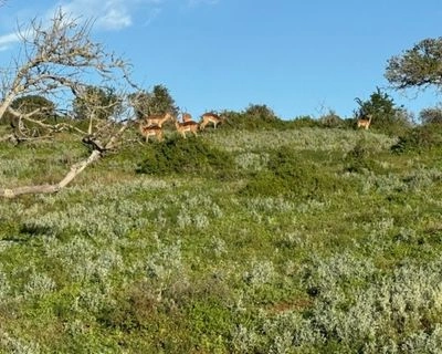 Activities Gallery 8